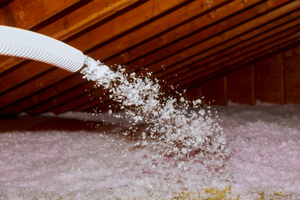 Best Best Insulation Companies  in Independence, WI