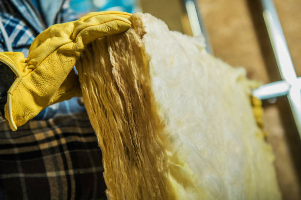 Best Local Insulation Services  in Independence, WI